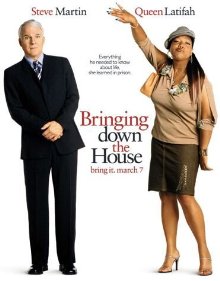 Bringing Down The House (2003)