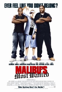 Malibu's Most Wanted (2003)