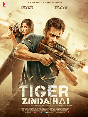 Tiger Zinda Hai (2017)